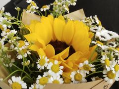 -循礼门鲜花花市(武汉循礼门店)