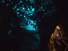 -怀托摩萤火虫洞