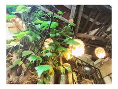 -懒鱼时光馆(沙坪坝店)
