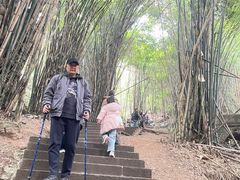 -凤栖山