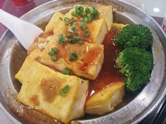 -姚林轩