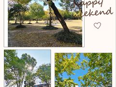 -上海吴淞炮台湾国家湿地公园