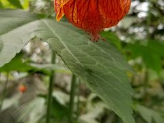 -南通洲际绿博园