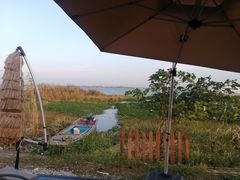 -莲花岛景区