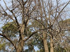 -溪口-滕头旅游景区