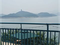 -望湖烤鱼