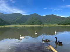-大九湖