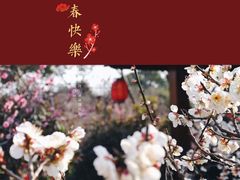 -无锡梅园公园