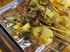鳝鱼-晓靖轩烧烤(沙河风情店)