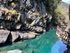 -石台牯牛降景区