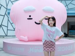 -武汉市青少年宫水上世界