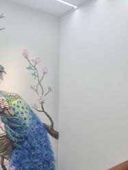-德绣·机器野生眉发际线·美瞳线半永久