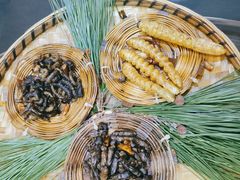 -昆虫窝子·特色云南菜(拓东路总店)