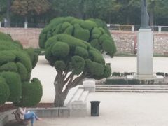 -丽池公园