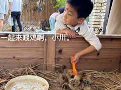 -HERRE·FARM 赫尔露营农场·团建聚会包场