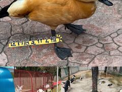 -汕头蓝水星欢乐世界