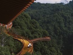 -少华山国家森林公园