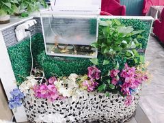 -东方豪客牛排意面披萨(金凤万达店)