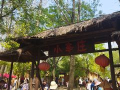 -滕州微山湖红荷湿地景区