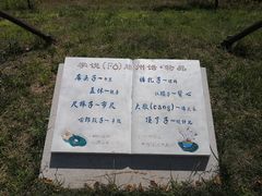 -微山湖红荷湿地景区