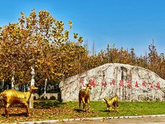 -上海海湾国家森林公园