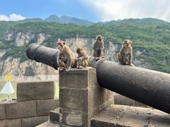 -白帝城·瞿塘峡景区