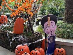 -杭州宋城