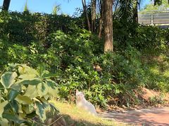 -深圳湾万象城(南山店)