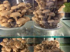 -捞神汤物料理(正大广场店)