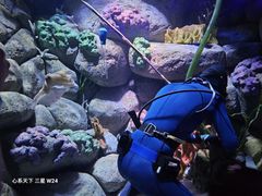 -新加坡海洋生态馆