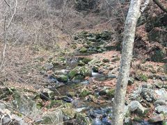 -本溪汤沟绿石谷森林公园