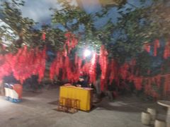 -东方巨龟苑景区