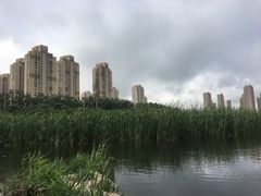 -前关湿地公园
