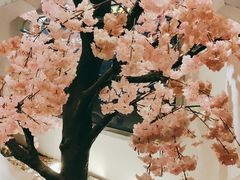-春天来了(印象新天地店)