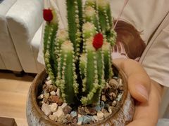 -德瑞姆心理咨询旗舰店