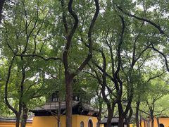 -西园寺素食(西园弄戒幢律寺店)