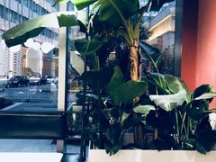 -Toris(LuOne凯德晶萃广场店)