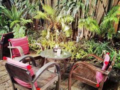 -Fern Forest Cafe
