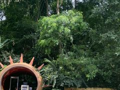 -西双版纳基诺山寨