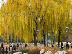 -石家庄市植物园