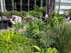 -JW酒廊 JW Lounge(上海鲁能JW万豪侯爵酒店)
