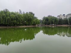 -团结湖公园