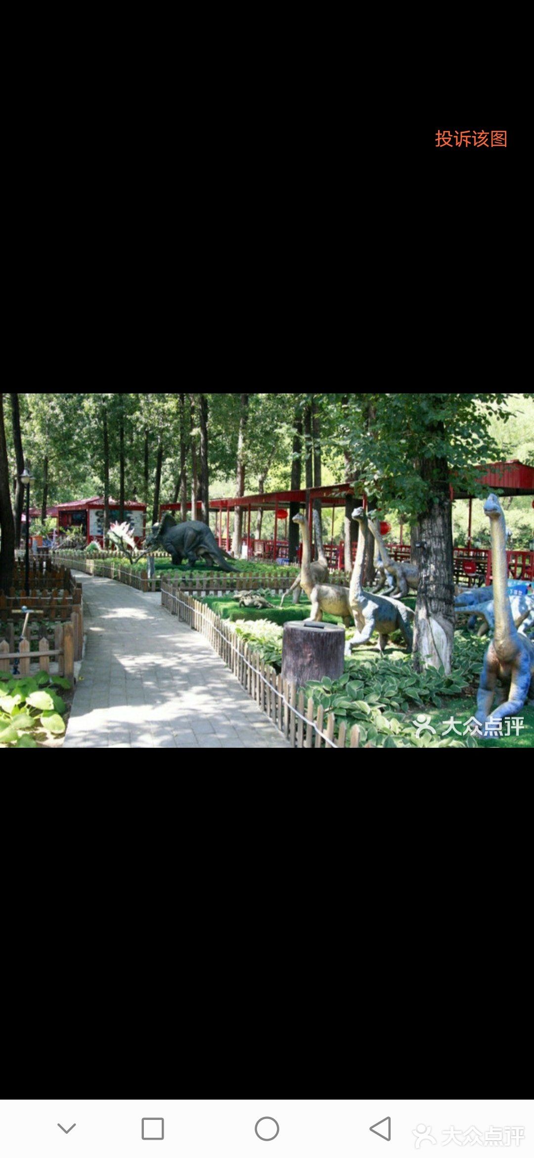 19.9就能带娃体验和恐龙近距离接触的乐园！