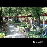 19.9就能带娃体验和恐龙近距离接触的乐园！