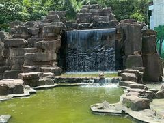 -宁波野生动物园