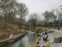 -北坞公园
