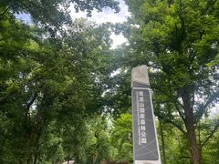 -青龙山国家森林公园