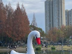 -宁波儿童公园(鄞州区)