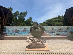 -广东惠东海龟国家级自然保护区