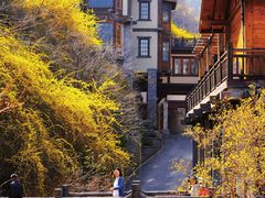 -九如山休闲旅游度假区